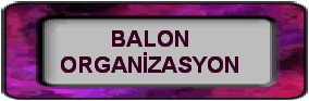Ankara balon organizasyon